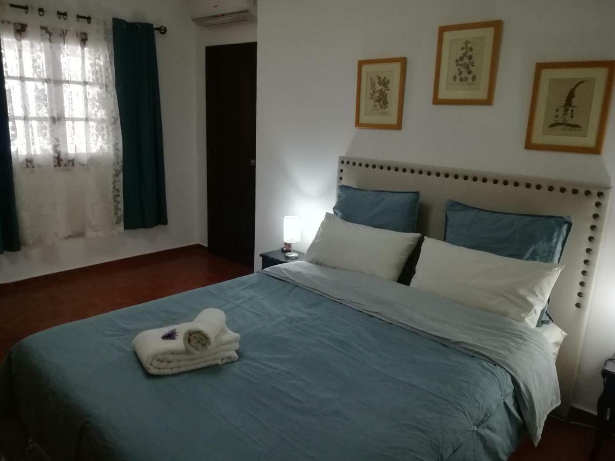 Vila A Casa Da Avo Custodinha Bias do Norte Exteriér fotografie